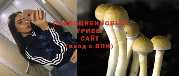 СК Киренск