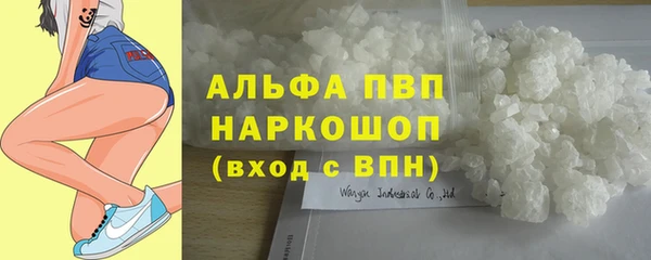 СК Киренск