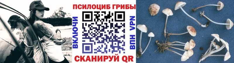 Галлюциногенные грибы мухоморы Купить где Льгов